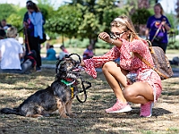 Adoptuj Warszawiaka  Wydarzenie promujące adopcję zwierząt. Organizator: Schronisko dla Bezdomnych Zwierząt "Na Paluchu". 18 sierpnia 2019, Park Raszyński w Raszynie. : park raszyński, adoptuj warszawiaka, na paluchu, schronisko dla zwierząt, centrum warszawy, raszyn